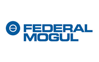 Federal Mogul